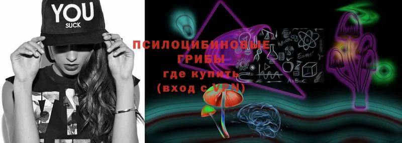 площадка какой сайт  mega   Кирс  Галлюциногенные грибы Psilocybe 